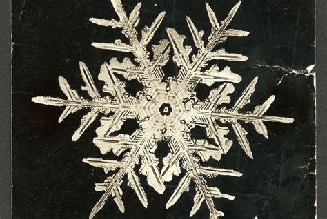 The Man Who Revealed the Hidden Structure of Falling Snowflakes ...