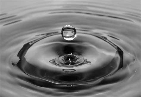 Free Images : liquid, black and white, wheel, flower, petal, ripple, circle, surface, falling ...