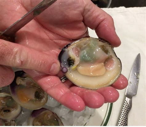 Everyday Clam Opens to Reveal Rare Purple Pearl | The East Hampton Star