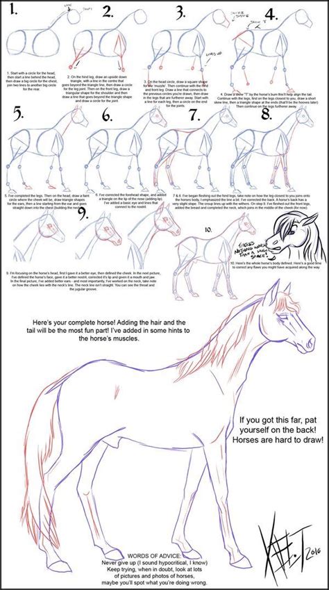 Pin by Johanne Simpson on inspiration et tutoriel de dessin | Horse ...