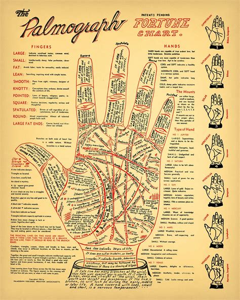 Vintage Palmistry Chart 5 Sizes Fortune Telling Cheiromancy Occult Palm Reading Tarot Antique ...