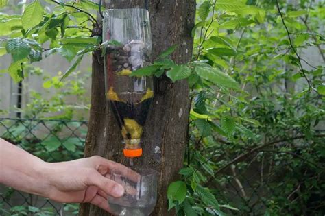 How To Make Activated Charcoal Water Filter?