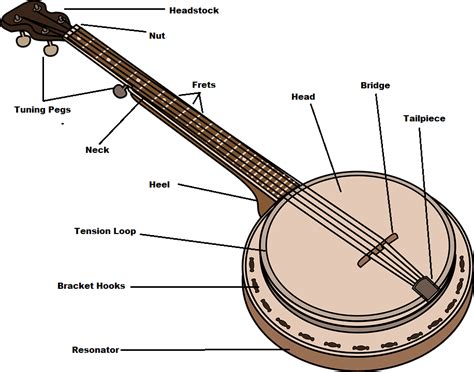 BanjoComponents.png (916×720) | Banjo, School themes, Write to me