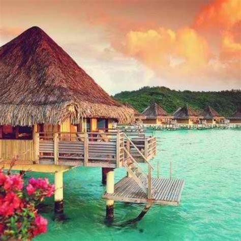 Dream vacation | Dream vacations, Dream vacation spots, Water bungalow