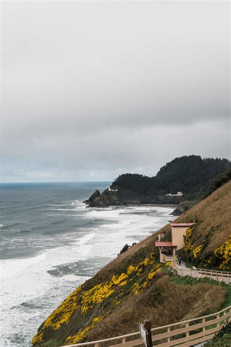 Everything You Need To Know About Sand Dunes of Oregon - That One ...