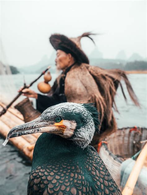 Interview: Travel Photographer Immortalizes China’s 1,300-Year-Old Cormorant Fishing Technique ...