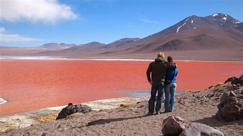 Is this Bolivia's Most Incredible Natural Wonder? Your Guide to Laguna Colorada | Intrepid ...