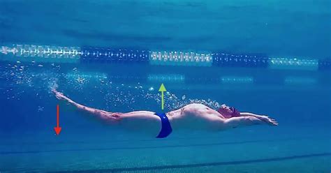 Backstroke Swimming Technique - How to Swim Faster. Clear Steps, Tips & Specific Drills | SkillsNT