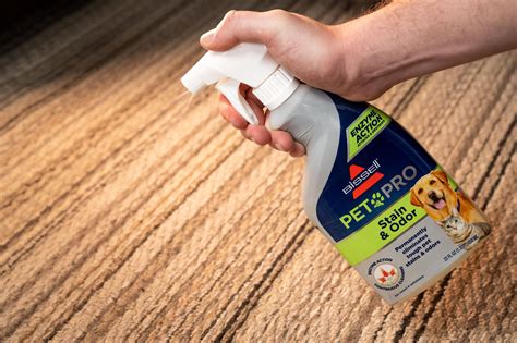 The 5 Best Carpet Stain Removers (2022 Review) - This Old House