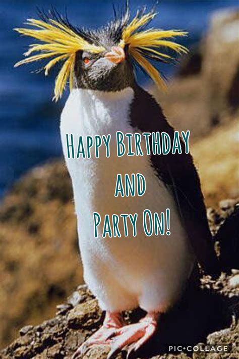 Pin by Kim on The Happy Birthday Board | Happy birthday funny, Happy ...