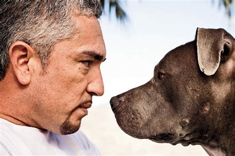 How Dog Whisperer Cesar Millan Learned New Tricks for His Website ...