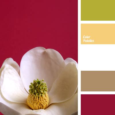 color solution for wedding | Color Palette Ideas