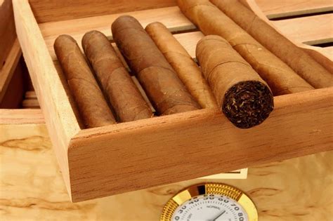 Learning How To Keep Cigars Fresh - The Ultimate Guide!