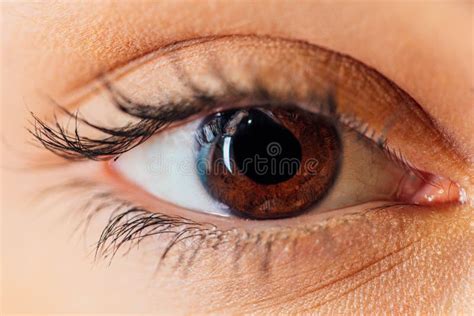 Macro Photo of the Eye. Blood Vessels on the Eyes. Eyelashes in Macro. Pupil Close-up. Fresh ...