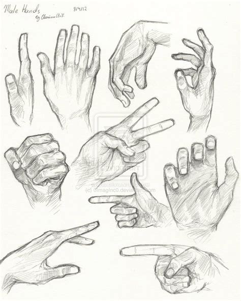 Hand Anatomy Drawing at PaintingValley.com | Explore collection of Hand ...