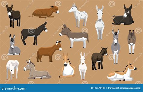 Various Donkey Breeds Cartoon Vector Characters | CartoonDealer.com #127676108