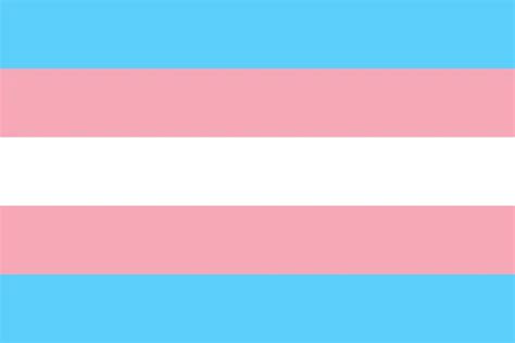 Vector modern transgender flag background — Stock Vector © trambo #76615063