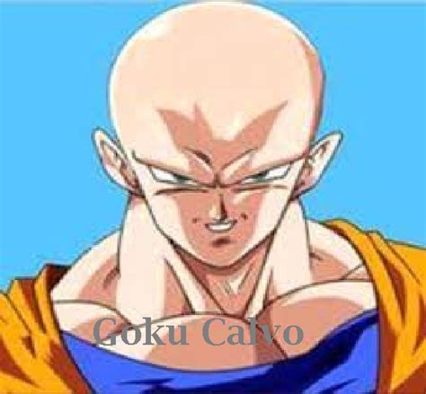 Goku Calvo - Meme by JediKi56 :) Memedroid