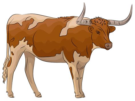 Free Longhorn Cliparts, Download Free Longhorn Cliparts png images ...