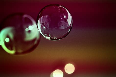 Free Images : drop, light, petal, green, reflection, red, color, float ...