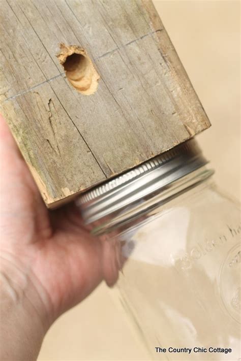 How to Make a Carpenter Bee Trap | Carpenter bee trap, Wood bee trap ...