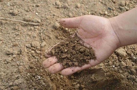 How To Mix Compost Into Soil – GrowerExperts