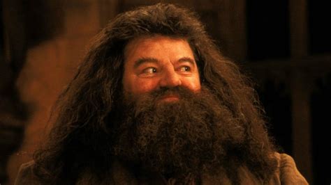 Harry Potter : que signifient les noms des personnages ?: Rubeus Hagrid ...