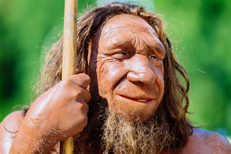 Neanderthals Interbred with Now-Extinct Lineage of Early Modern Humans Over 250,000 Years Ago ...