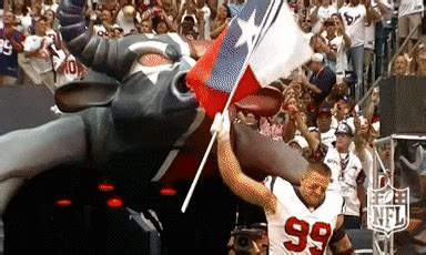 Houston Texans Texas GIF by NFL - Find & Share on GIPHY