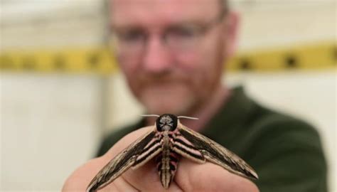 Burgeoning biodiversity at Kings Dyke | Agg-Net