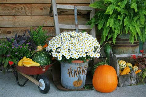 Harvest Decorations stock photo. Image of bounty, baskets - 11319914