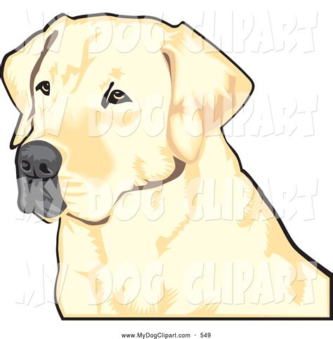 Collection of Labrador clipart | Free download best Labrador clipart on ClipArtMag.com