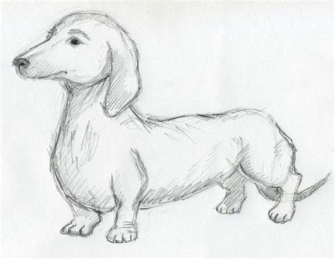 Pencil Drawing Of Dogs at GetDrawings | Free download