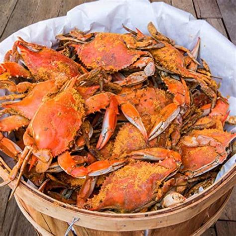 Amazon.com: Cameron's Seafood Large Maryland Blue Crabs Males Jimmys ...