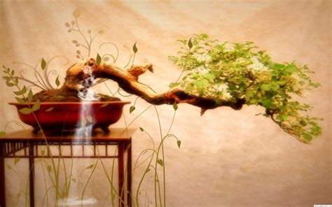 History Of The Bonsai [2021 Edition] - The Bonsai Master