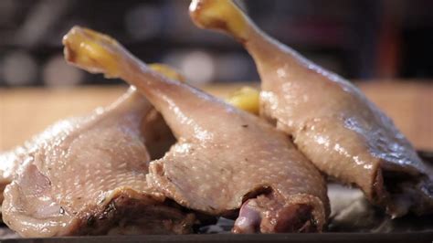 The Best Domestic Duck Breeds for Meat Production