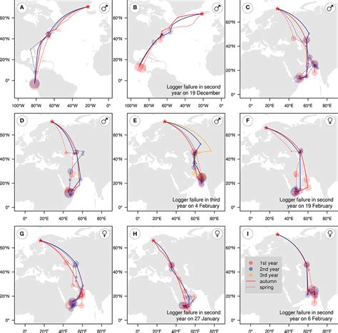 Frontiers | A Migratory Divide Among Red-Necked Phalaropes in the Western Palearctic Reveals ...