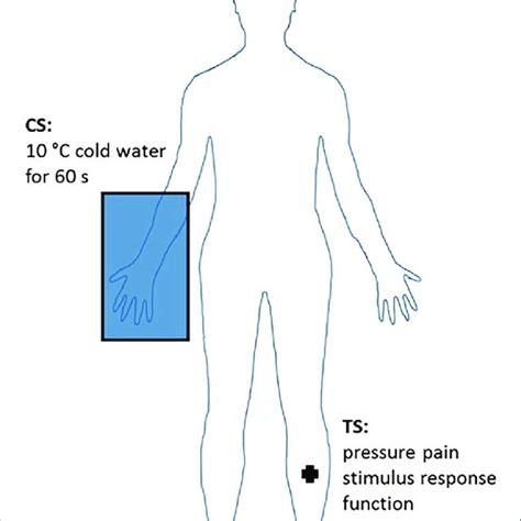 | Conditioned pain modulation paradigm. Test stimulus (TS ...