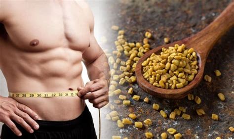 Best supplements for weight loss: Fenugreek found to aid weight loss | Express.co.uk