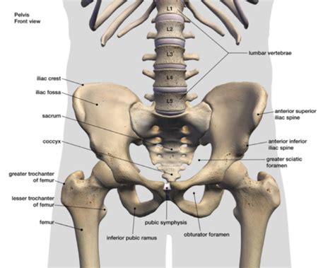 Training With Hip Pain Part I