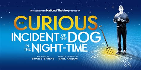 Review: The National Theatre’s ‘The Curious Incident of the Dog in the ...