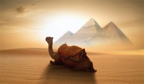 Egypt Desert Wallpapers - Top Free Egypt Desert Backgrounds ...