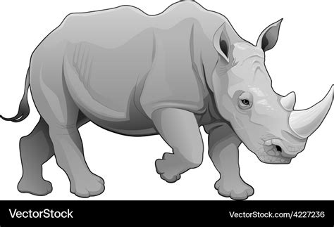 Rhinoceros Royalty Free Vector Image - VectorStock