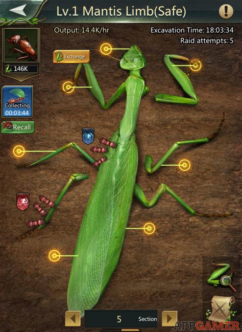 Gather Mantis Meat from the Mantis Cave - Ant Legion: For the Swarm