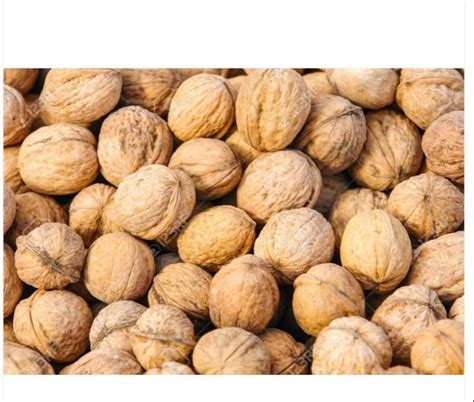 Shelled Walnuts at Rs 460/kg | Walnut Shell in Kozhikode | ID: 26243408788