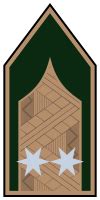 Template:Ranks and Insignia of NATO Air Forces/OF/Hungary - Wikipedia