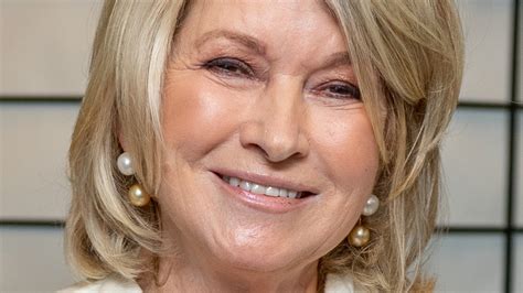 Martha Stewart's Best Tips For Removing Pet Hair From Your Home