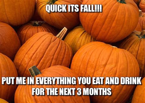 12 Fall Memes That Will Get You Ready For Your Favorite Season