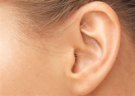 BIO-TECH | Scientists unravel secret of human ears' extreme sensitivity