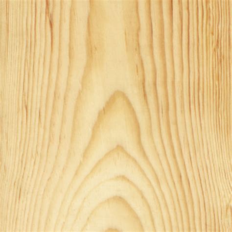 Pine Veneer Plywood | Columbia Forest Products